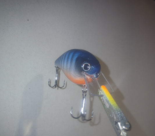 2.5 Square Bill crankbait in Blue Perch pattern.