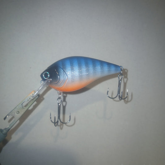 2.5 Square Bill crankbait in Blue Perch pattern.