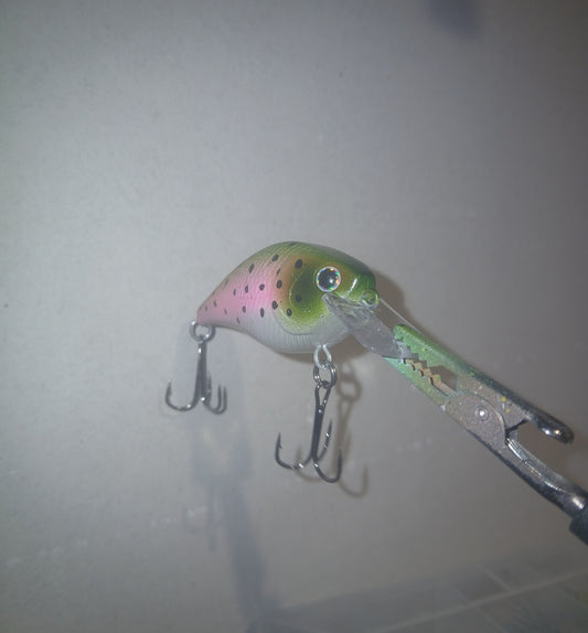 1.5 Square Bill in Rainbow Trout pattern.